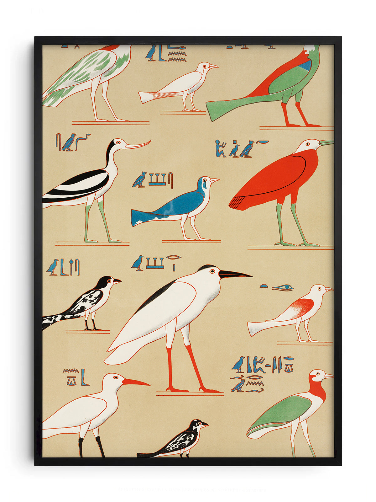 CHAMPOLLION - EGPYTIAN BIRDS