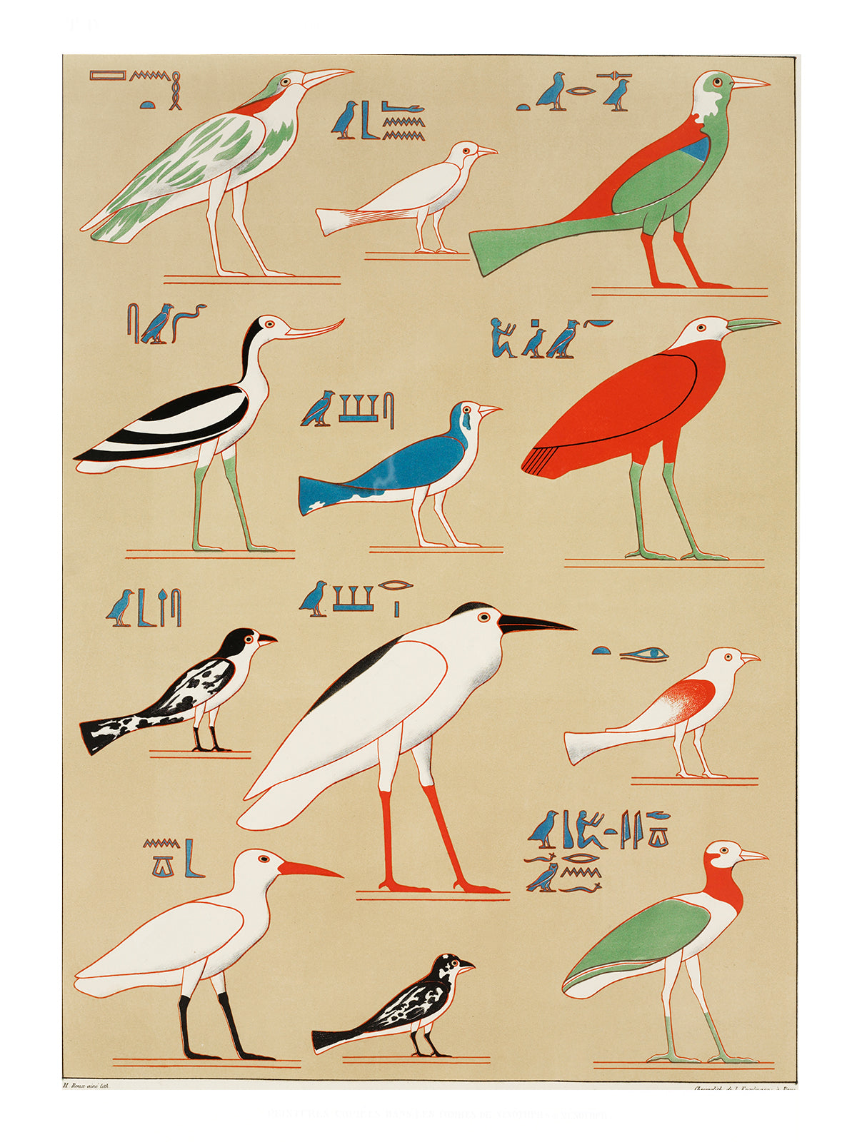 CHAMPOLLION - EGPYTIAN BIRDS