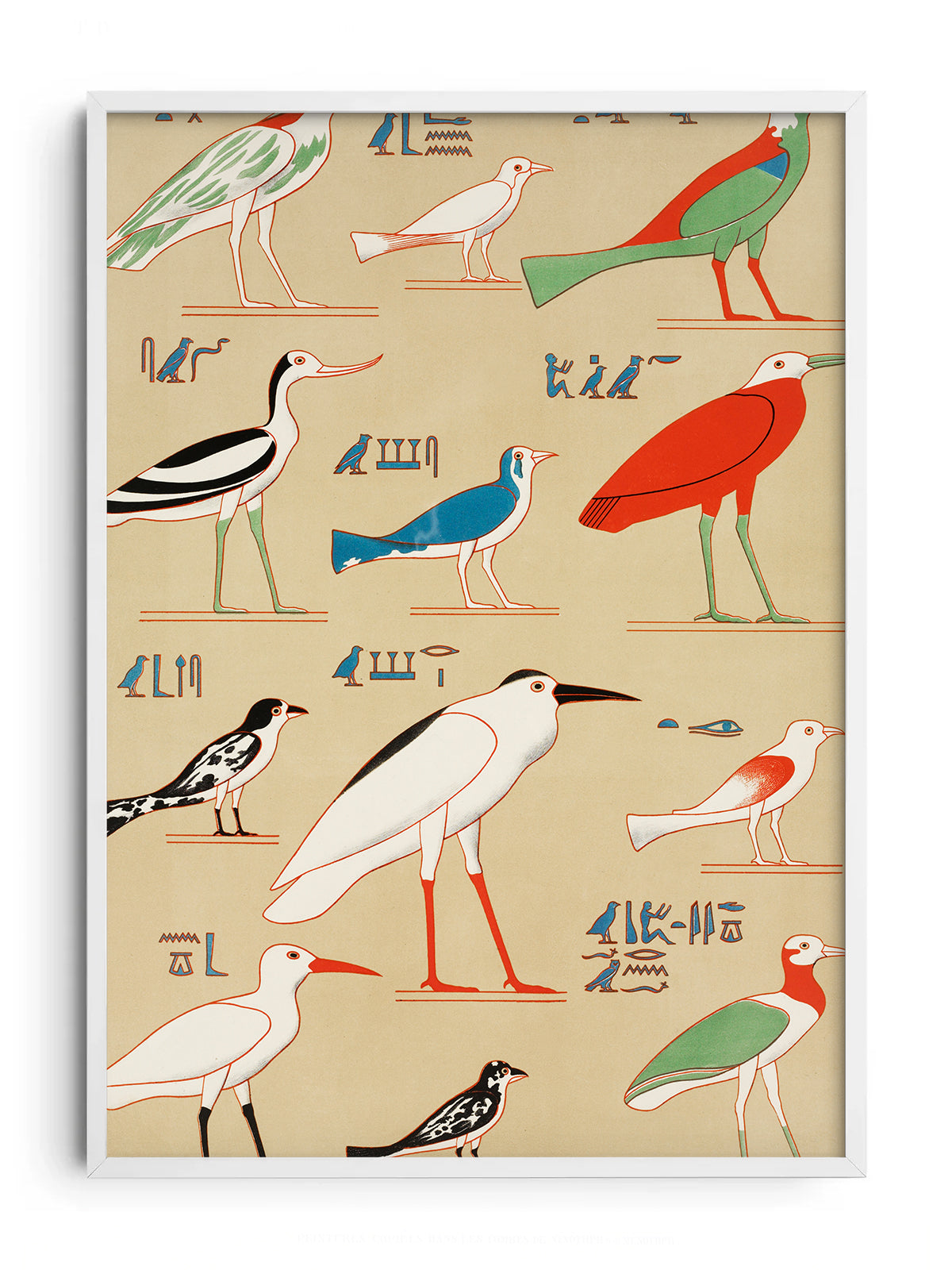 CHAMPOLLION - EGPYTIAN BIRDS