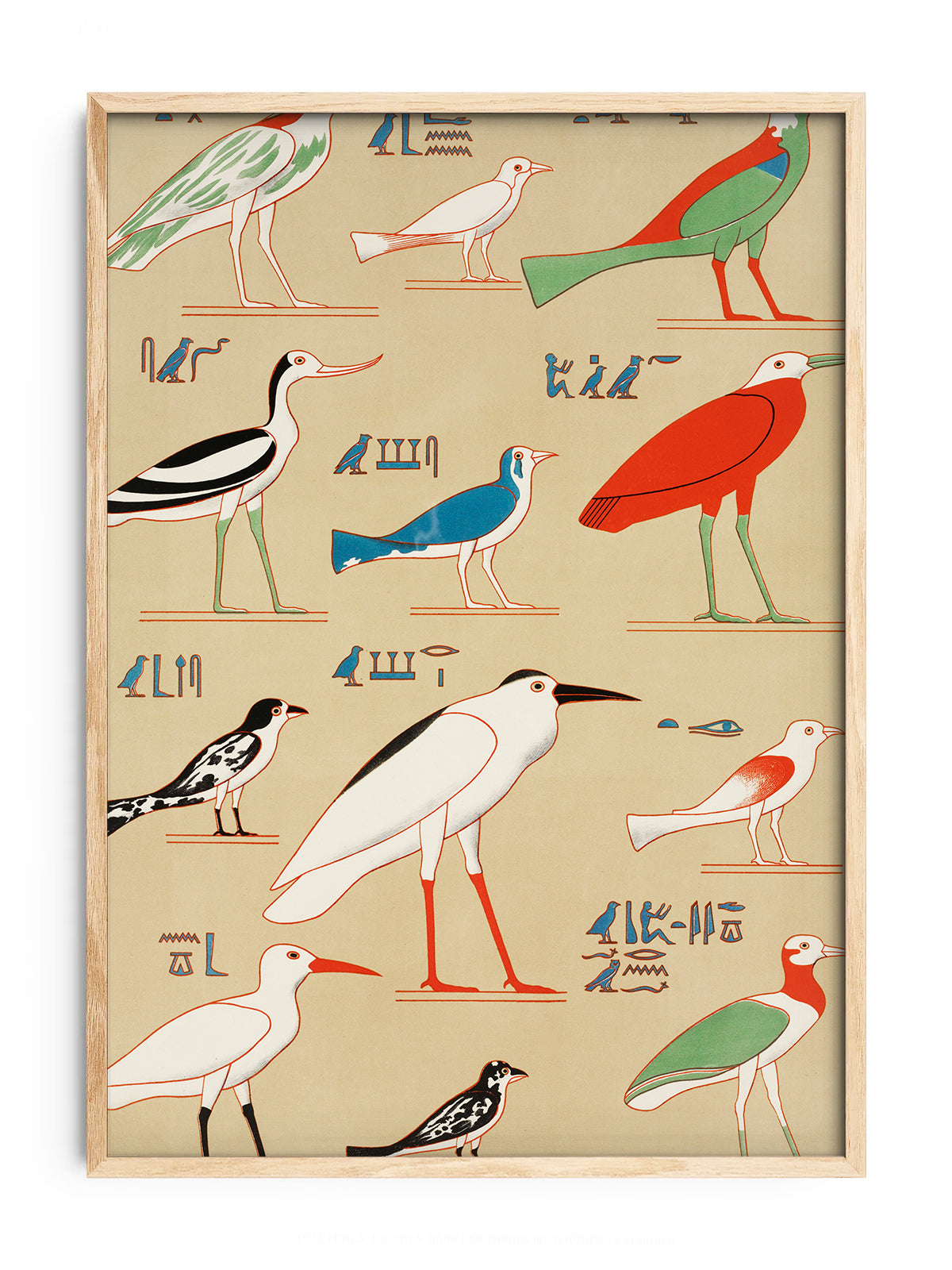 CHAMPOLLION - EGPYTIAN BIRDS